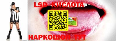 шишки Бузулук