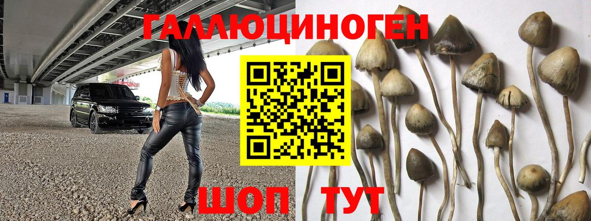 Псилоцибиновые грибы мухоморы Якутск
